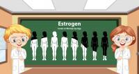 Kiedy należy wykonać badania estrogenu? Sprawdź!
