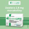 ARMOLIPID 60 tabletek na prawidłowy poziom cholesterolu