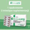 ARMOLIPID 60 tabletek na prawidłowy poziom cholesterolu