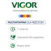 VIGOR Multiwitamina On 60 tabletek