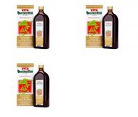 3x VITA BUERLECITHIN płyn doustny 1000 ml