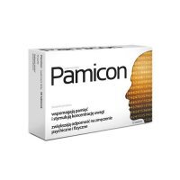 AFLOFARM Pamicon, 30 tabletek