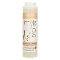 Anthyllis Eco Bio Żel Pod Prysznic Kardamon I Imbir, 250 ml