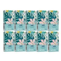 APTEO CARE Chusteczki higieniczne Soft, 10x 10 sztuk