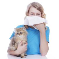 Alergia naszego dziecka na zwierzęta domowe
