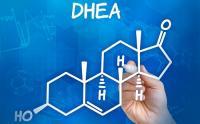 DHEA – znaczenie w terapii dla Niej i dla Niego