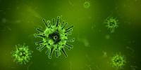 Infekcje wirusowe – jak z nimi walczyć? Odpowiadamy