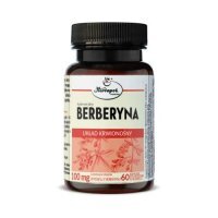 Berberyna, 60 kaps.