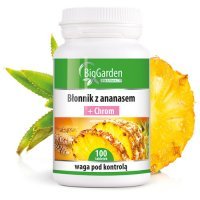 Błonnik Ananas Chrom 100 Tabletek Natur Garden Cena I
