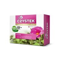 CZYSTEK 60 kapsułek COLFARM