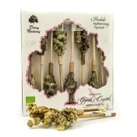 DARY NATURY Herbatka Na Patyku Gojnik I Czystek EKO, 8x4,9g KRÓTKA DATA 01.01.2026