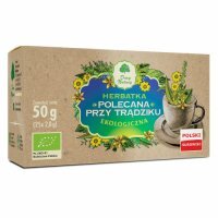 DARY NATURY Herbatka Polecana przy trądziku EKO 25 saszetek x 2g