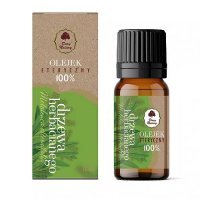 Dary Natury Olejek eteryczny z drzewa herbacianego, 10 ml