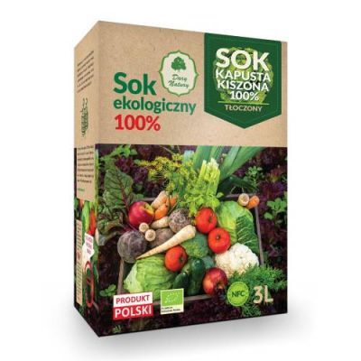 DARY NATURY Sok z kiszonej kapusty EKO 3 L