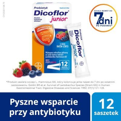 DICOFLOR JUNIOR proszek 12 saszetek, odbudowa flory