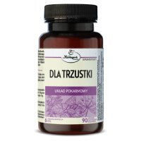 Dla trzustki, 90 kaps.