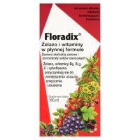 Floradix Płyn Żelazo i Witaminy, 500 ml