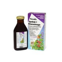 Floradix Spokój i Równowaga, 250ml KRÓTKA DATA 30.04.2025