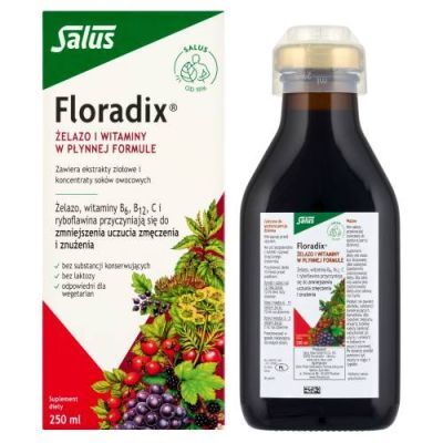 Floradix Żelazo i witaminy, 250 ml