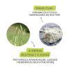 A-DERMA DERMALIBOUR+ CICA Balsam regenerujący do ust 15 ml