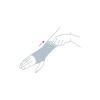 Actimove Arthritis Care Wrist Support Opaska na nadgarstek dla osób z zapaleniem stawów beżowa XL