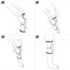 Actimove Professional Line GenuMotion Stabilizator kolana biały S