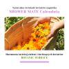Aekyung Showermate Botanic Calendula Żel pod prysznic, 1,2 l