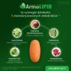 ArmoLipid, 60 tabl. - prawidłowy poziom cholesterolu