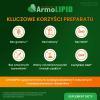 ArmoLipid, 60 tabl. - prawidłowy poziom cholesterolu