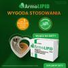 ArmoLipid, 60 tabl. - prawidłowy poziom cholesterolu