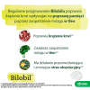 BILOBIL INTENSE 120 mg  60 kapsułek na krążenie i pamięć