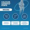 CALCIUM SANDOZ FORTE 20 tabletek musujących