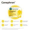 CANEPHRON 60 tabletek
