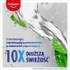 Colgate Plax Płyn do płukania jamy ustnej z aktywnym węglem, 500 ml