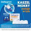 Deflegmin Effect Long 75mg, 10kaps.
