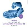 DICOFLOR BABY krople 5 ml, probiotyk,odbudowa flory bakteryjnej