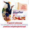 Dicoflor Forte probiotyk, 40 kaps.