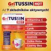 DOMOWA APTECZKA Gritusin Hot, 8 saszetek