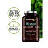 Essensey Kreatyna Monohydrat + B5, B6, 90 kaps.