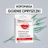 HASCOVIR PROTECT Plastry na opryszczkę 15 sztuk