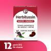 Herbitussin Kaszel i Gardło, 12 pastylek do ssania