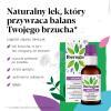 Iberogast Balance Krople doustne, 100 ml