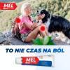 MEL Max Actigel 20mg/g żel, 180g