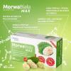 Morwa Biała Max, 60 tabl.