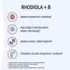 NATURELL RHODIOLA + B  60 tabletek