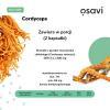 OSAVI CORDYCEPS 1200 mg 120 kapsułek