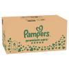 Pampers Premium Care 6 Pieluchy dla dzieci, 116 szt.