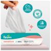 Pampers Sensitive Chusteczki nawilżane, 12x52szt. (łącznie 624 szt)