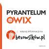 PYRANTELUM OWIX 250 mg 3 tabletki leczenie owsicy