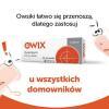 PYRANTELUM OWIX 250 mg 3 tabletki leczenie owsicy